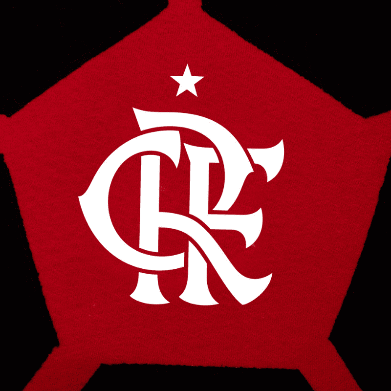 15397784748-fla-434-2.png